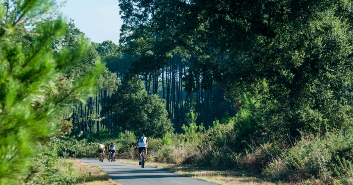 Après Extinction Rebellion, passons à la 'lutte arbrée' avec Plantation Rébellion