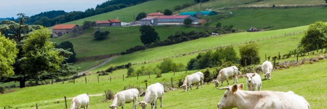 vols dans les fermes