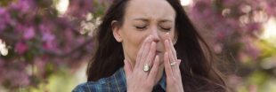 Allergies : le printemps est à nos portes, les pollens sont déjà là