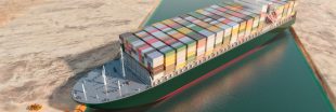 Canal de Suez : 20 navires chargés de bétail en détresse