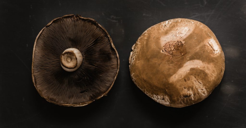 Portobello, le cousin géant du champignon de Paris : comment le consommer ?