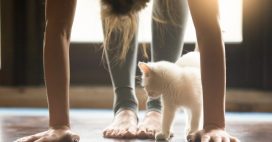 4 étirements incontournables à réaliser dès le réveil pour être en pleine forme ! 4 étirements incontournables à réaliser dès le réveil pour être en pleine forme !