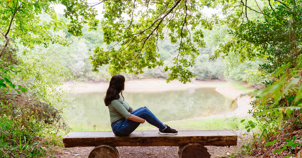 Les Français aiment leurs forêts : 87 % sont prêts à la sauver