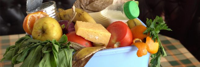 gaspillage alimentaire