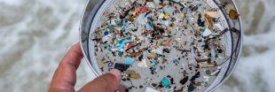Stations d'épuration : réservoirs de microplastiques nids à bactéries antibiorésistantes