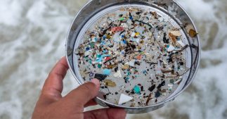 Stations d'épuration : réservoirs de microplastiques nids à bactéries antibiorésistantes Stations d'épuration : réservoirs de microplastiques nids à bactéries antibiorésistantes