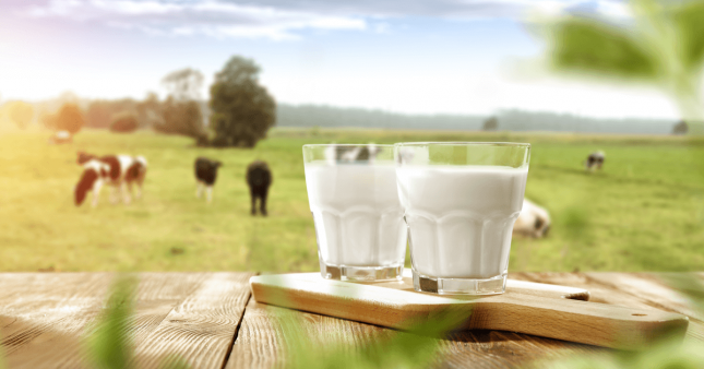 Origine du lait : la transparence n’est plus obligatoire