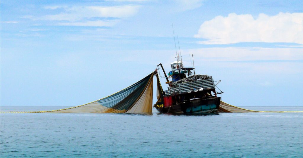 Pêche au chalut et aviation, une même empreinte carbone !