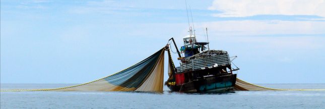 pêche au chalut co2
