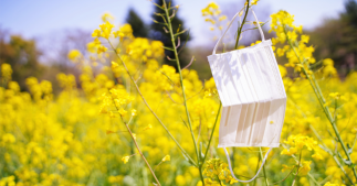 Le pollen et la pollution, des facteurs qui aggravent l'épidémie de Covid-19 ? Le pollen et la pollution, des facteurs qui aggravent l'épidémie de Covid-19 ?