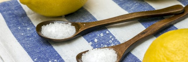 acide citrique alimentaire