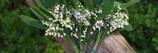 Vendre du muguet sera-t-il autorisé le 1er mai cette année ?