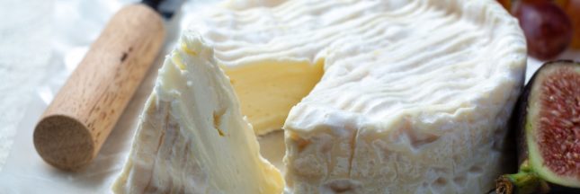 camembert de normandie