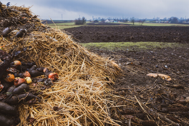 compost moins de bactéries dangereuses