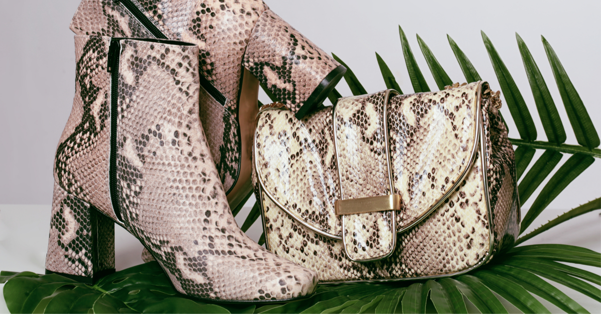 Pythons gonflés à l'air comprimé, crocodiles écorchés vifs... Les dérives de l'industrie du luxe