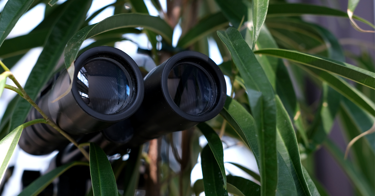 MI6 - De nouveaux James Bond au service du climat