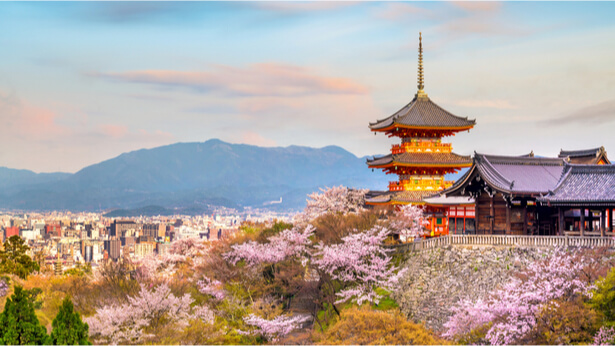 Floraison des cerisiers au Japon : un record vieux de 1200 ans a été battu