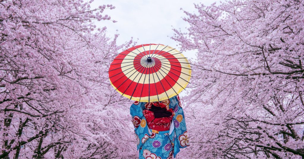 Floraison des cerisiers au Japon : un record vieux de 1200 ans a été battu