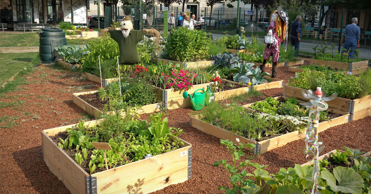 Jardins et développement durable - Un combo gagnant !