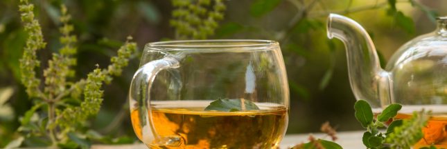 plante pour tisane