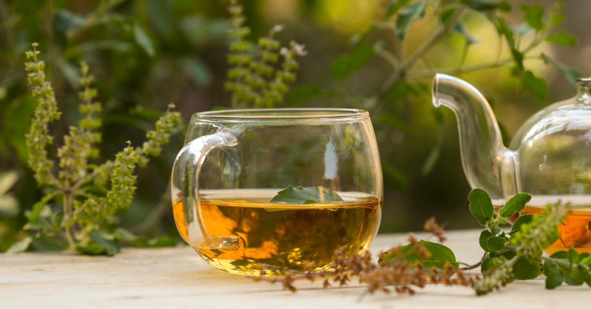 Quelles plantes cultiver pour faire ses propres tisanes ? Quelles plantes cultiver pour faire ses propres tisanes ?