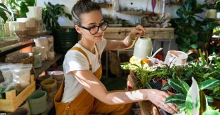 Plante en pot : nos conseils pour bien débuter Plante en pot : nos conseils pour bien débuter