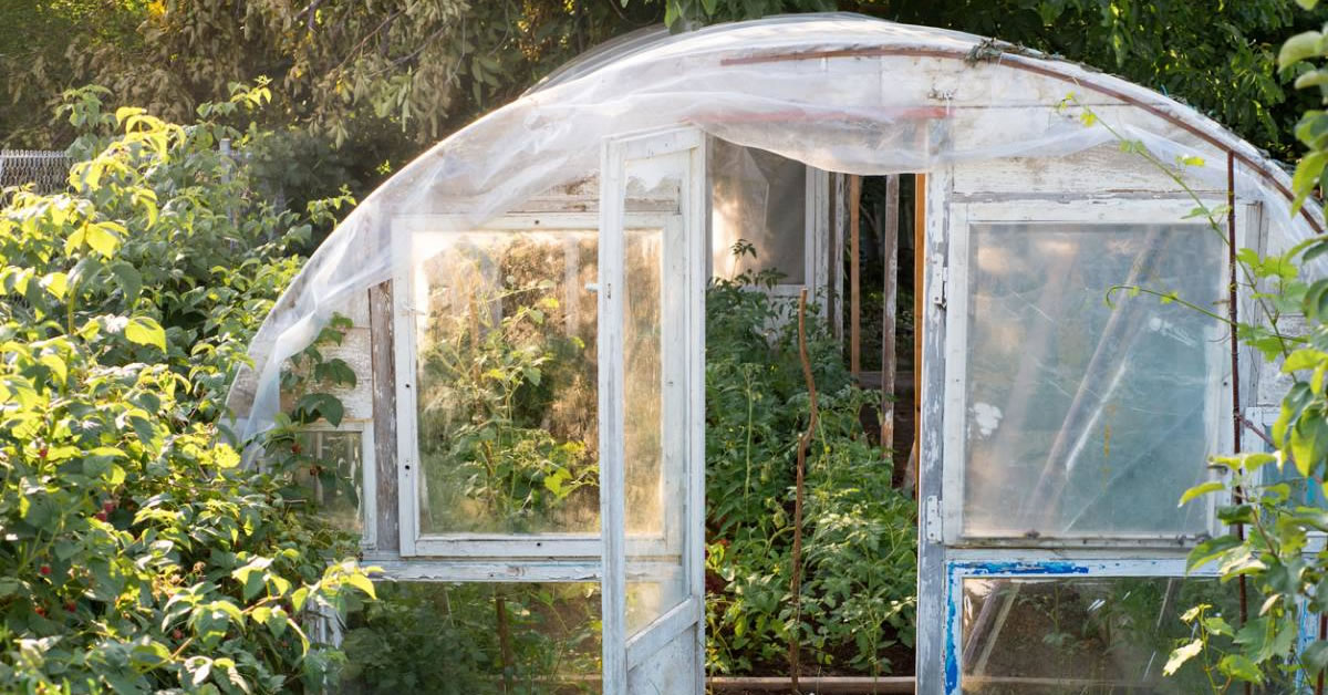 La serre : pour un jardin écoresponsable