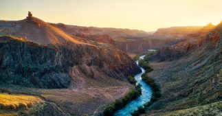 Biodiversité, eau, santé humaine... la menace des pesticides est mondiale Biodiversité, eau, santé humaine... la menace des pesticides est mondiale