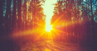 Révolutionnaire : découverte d'un fluide qui conserve l'énergie solaire pendant 20 ans ! Révolutionnaire : découverte d'un fluide qui conserve l'énergie solaire pendant 20 ans !