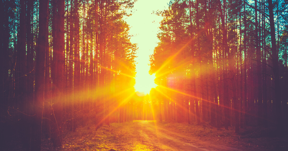 Révolutionnaire : découverte d'un fluide qui conserve l'énergie solaire pendant 20 ans !