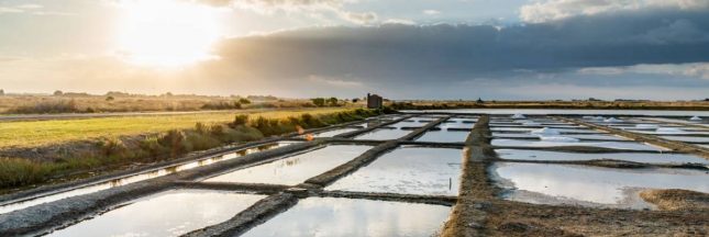 éco tourisme en Vendée