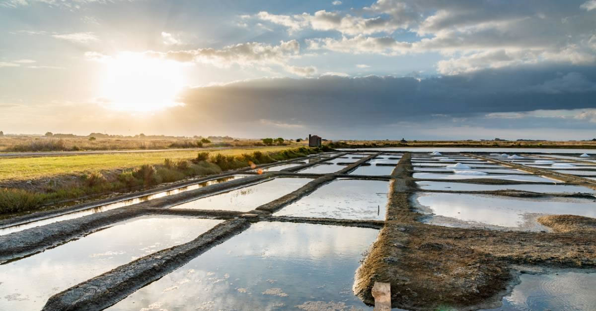 L'éco-tourisme en Vendée