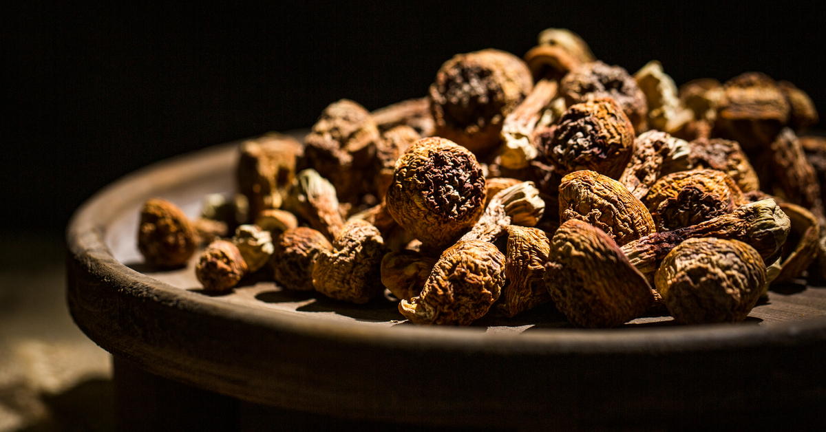 Agaricus Blazei, le super champignon du Brésil
