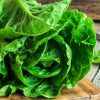 Gardez votre salade verte croquante : les astuces pour éviter le gaspillage