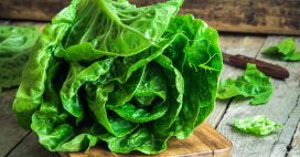 Gardez votre salade verte croquante : les astuces pour éviter le gaspillage