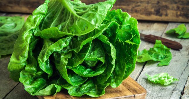 Comment conserver la salade verte et ne plus gaspiller ? Conserver-salade_shutterstock_250604113-645x338
