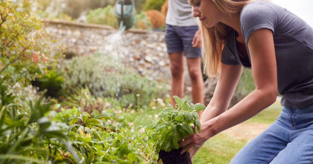 Des déductions fiscales à ne pas rater pour vos petits travaux de jardinage