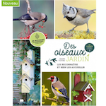 oiseaux des jardins