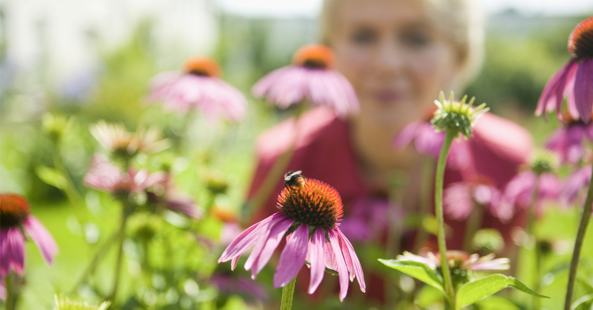 Fête de la Nature 2021 - Révéler l'extraordinaire de ce qui parait ordinaire !