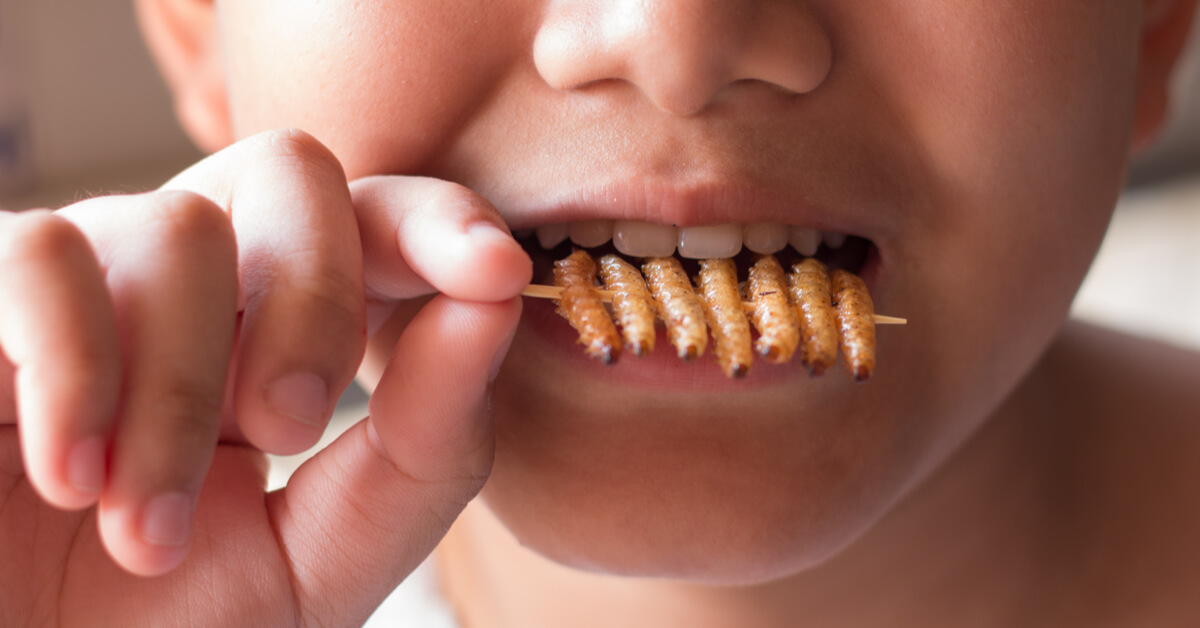 Feu vert en Europe à l'utilisation des insectes dans l'agro-alimentaire Feu vert en Europe à l'utilisation des insectes dans l'agro-alimentaire