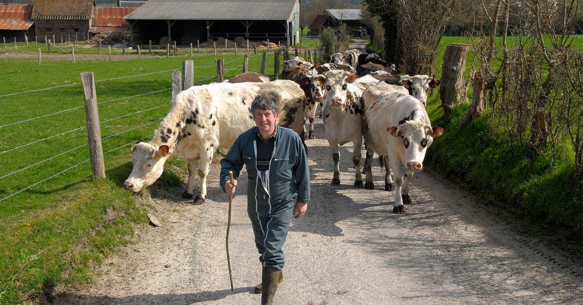 Label Max Havelaar-Fairtrade : désormais pour les agriculteurs français aussi ! Label Max Havelaar-Fairtrade : désormais pour les agriculteurs français aussi !