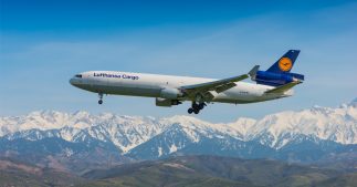 Biomimétisme : de la 'peau de requin' pour réduire la consommation des avions