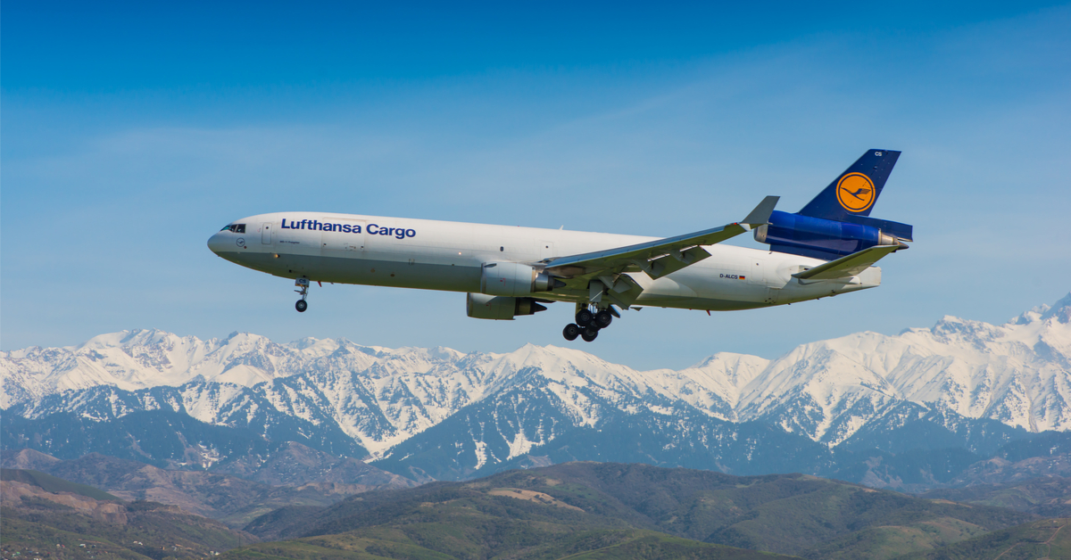 Biomimétisme : de la 'peau de requin' pour réduire la consommation des avions Biomimétisme : de la 'peau de requin' pour réduire la consommation des avions