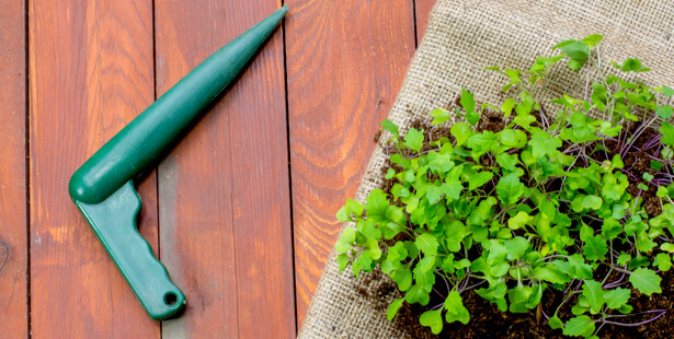 Les 10 appareils et outils de jardinage les plus importants pour les  jardiniers amateurs