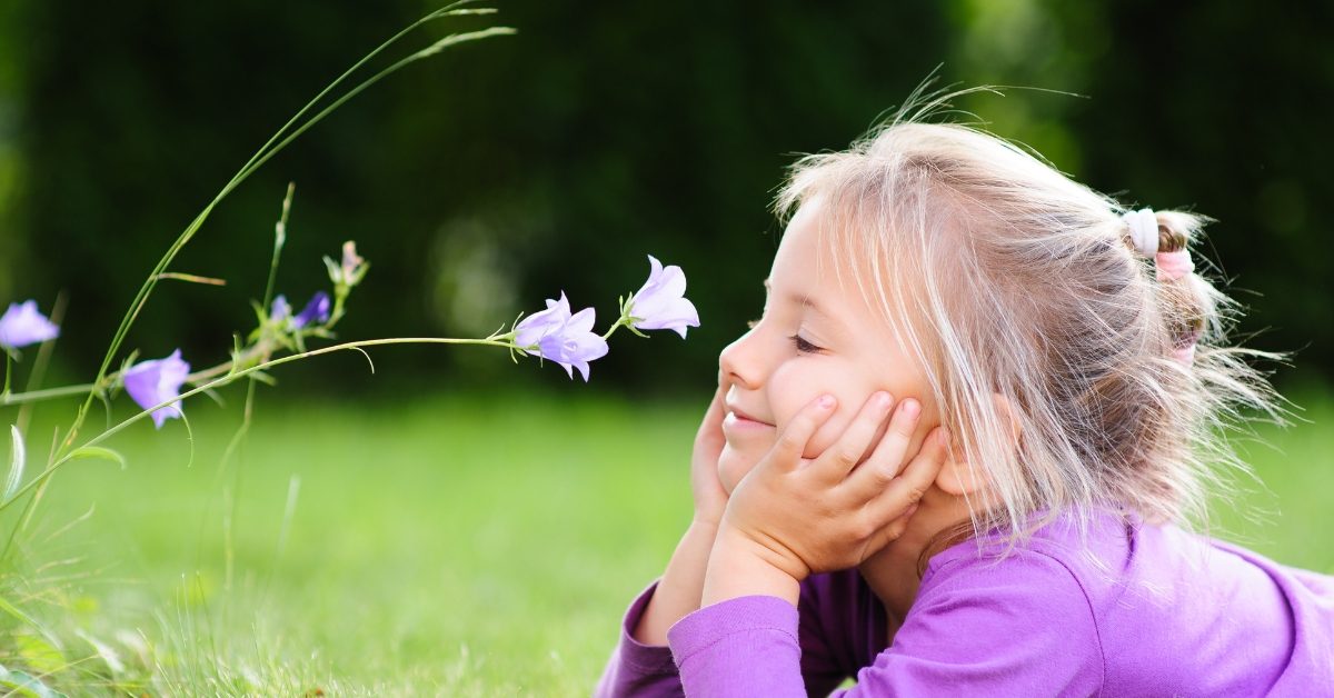 Le saviez-vous – À quoi sert le parfum des fleurs ?