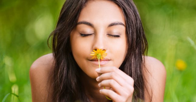 Le saviez-vous – À quoi sert le parfum des fleurs ?