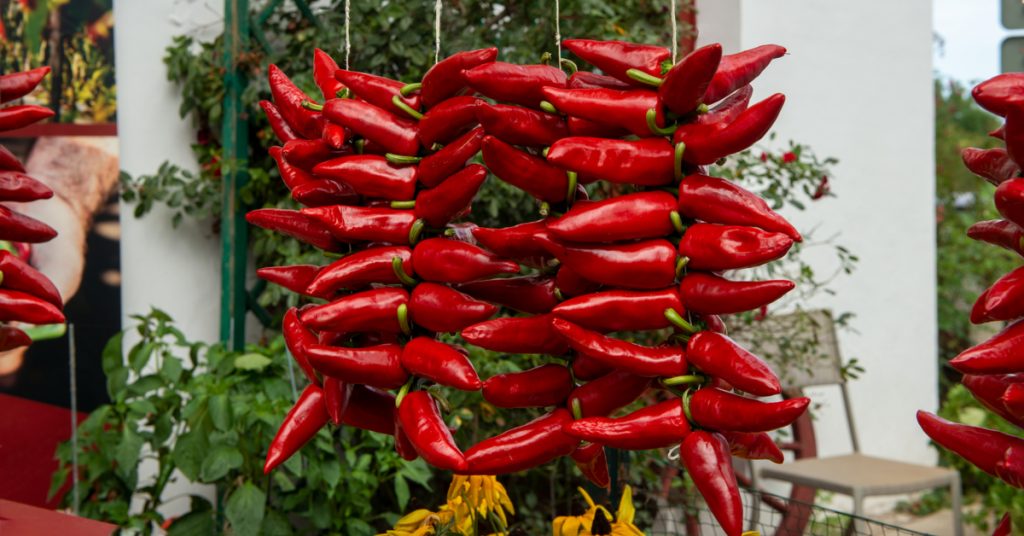 Piment d’Espelette : savoir reconnaître le vrai et les faux