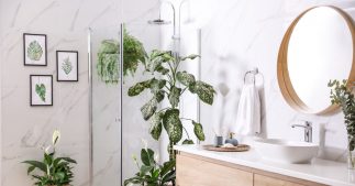 Votre salle de bain d'été : inspiration déco fraîcheur et bien-être Votre salle de bain d'été : inspiration déco fraîcheur et bien-être