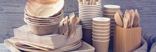 Vaisselle jetable sans plastique : pas si inoffensive et écolo que ça !