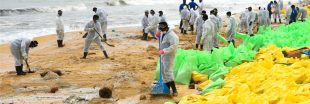 Après le naufrage du porte-conteneur, la faune marine à l'agonie au SriLanka